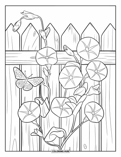 Coloriage de violet pour enfants : Volubilis grimpant sur une clôture avec un papillon qui se repose