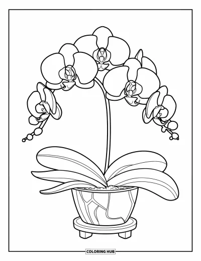 Coloriage de violet pour enfants : Orchidée en pot sur un petit support en bois
