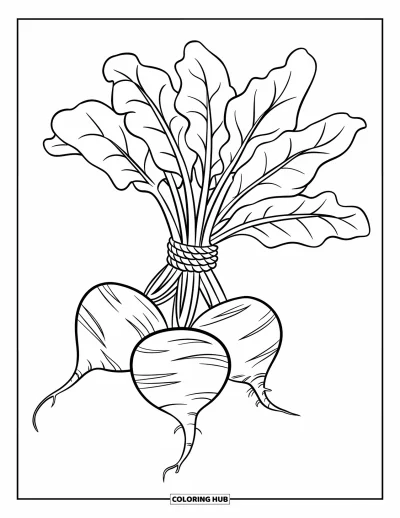 Coloriage de violet pour enfants : Corde épaisse nouée autour d'une grosse botte de betteraves