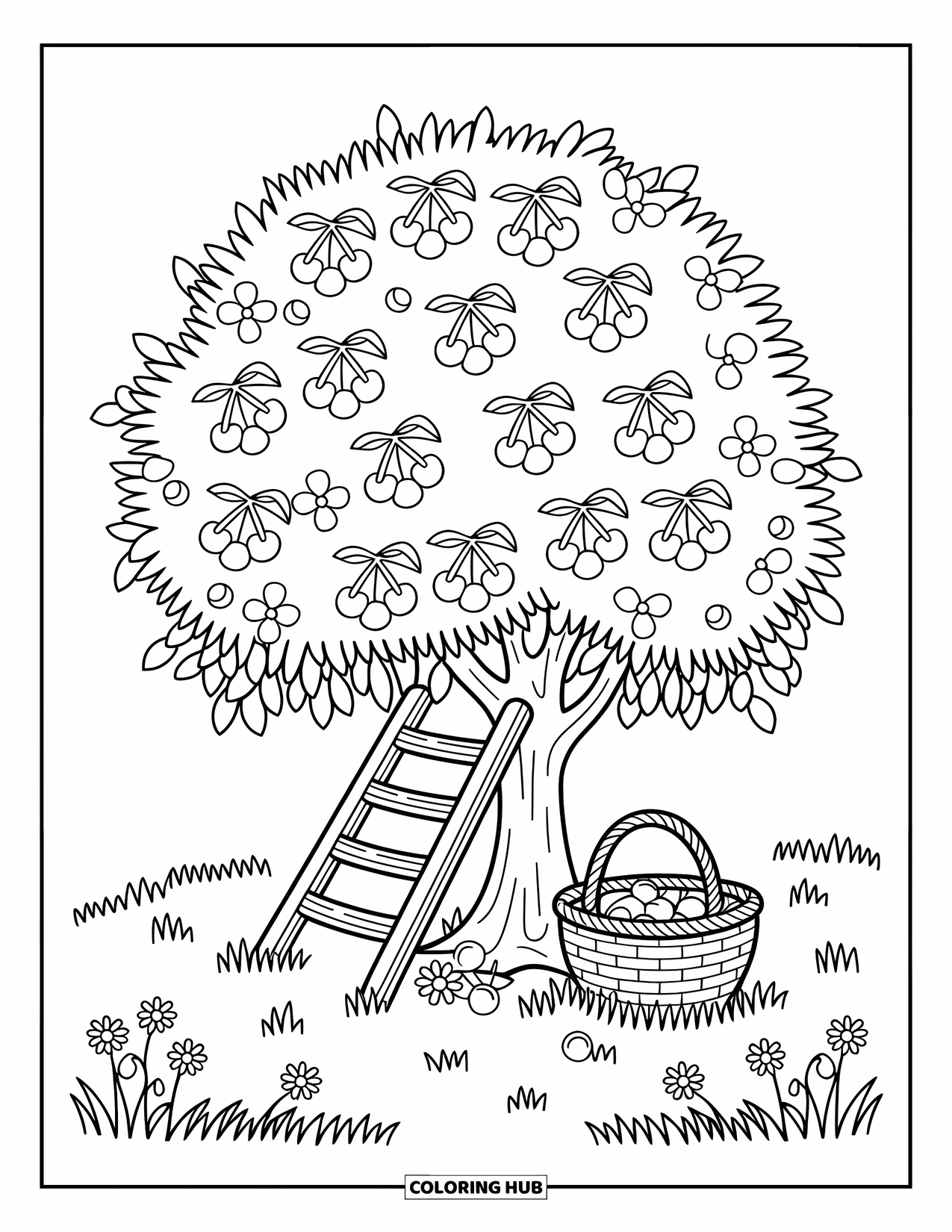 Red Coloring Page for Adults: Cherries hang from a round tree with a ladder, basket, and scattered fruit