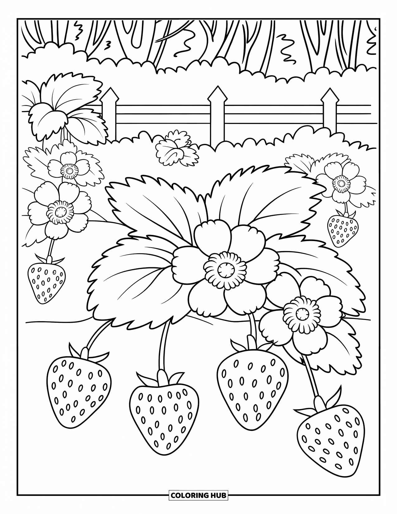 Red Coloring Page for Kids: A strawberry patch grows beside a fence and trees