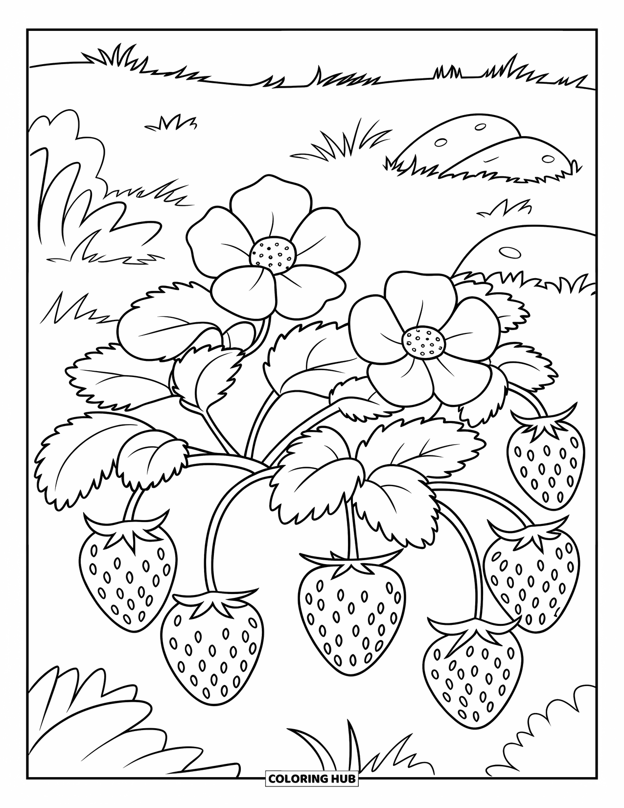 Red Coloring Page for Kids: Ripe strawberries and flowers fill a grassy patch with scattered rocks