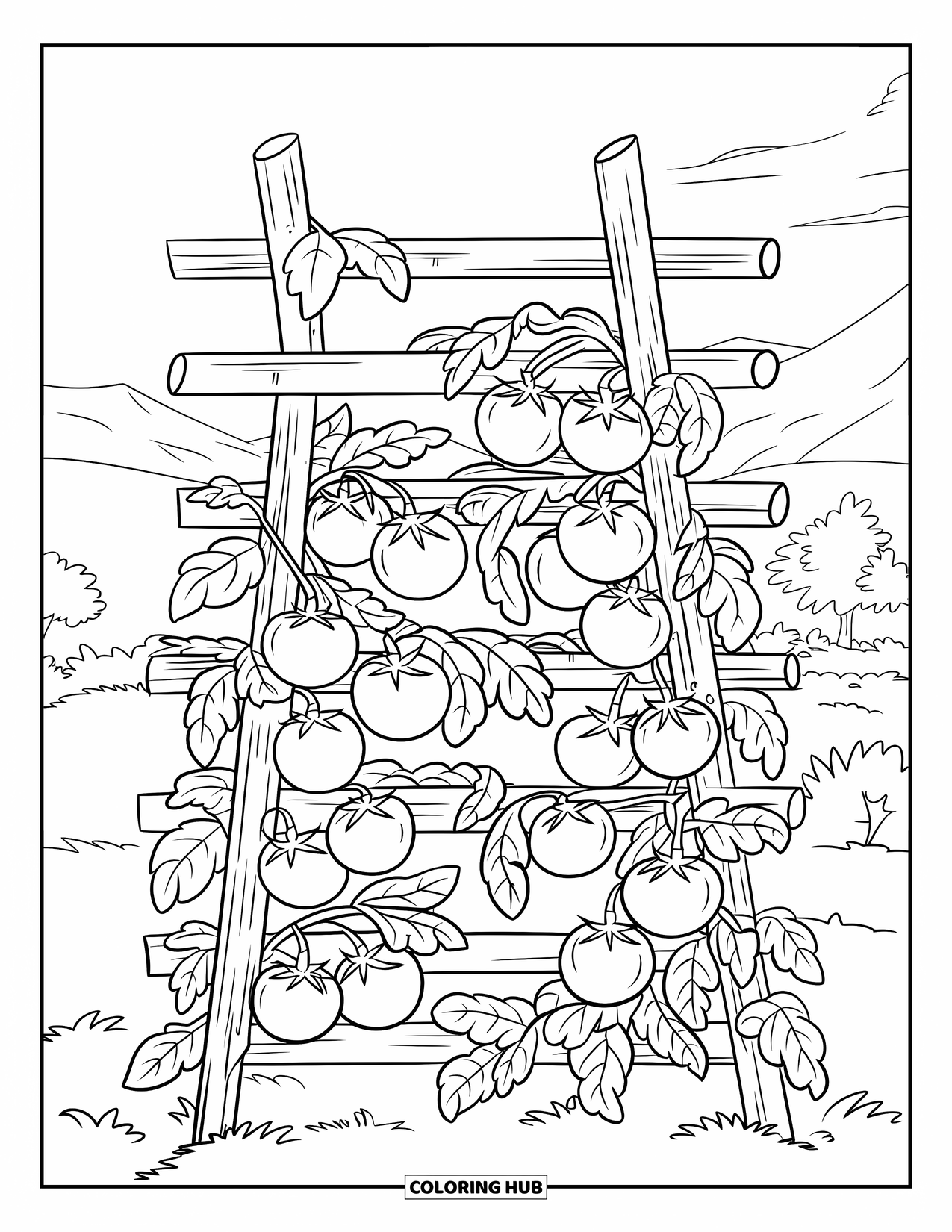 Red Coloring Page for Kids: Ripening tomatoes cover a wooden trellis under a clear mountain sky