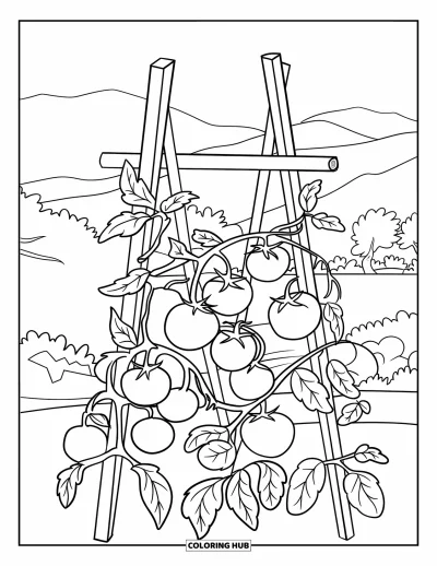 Red Coloring Page for Kids: Tomato plants grow up a wooden trellis with mountains in the background
