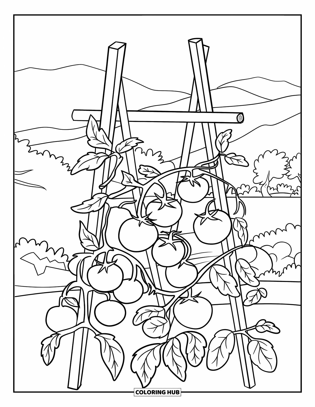 Red Coloring Page for Kids: Tomato plants grow up a wooden trellis with mountains in the background