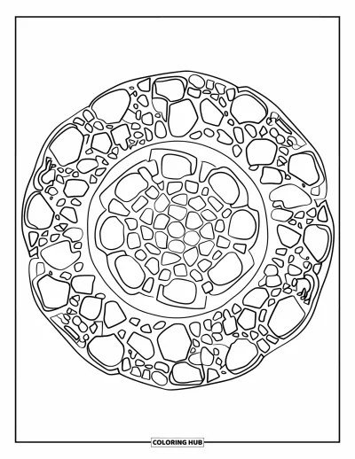 Coloriage de rochers pour adultes : Un mandala circulaire avec des motifs de roches concentriques aux formes variées