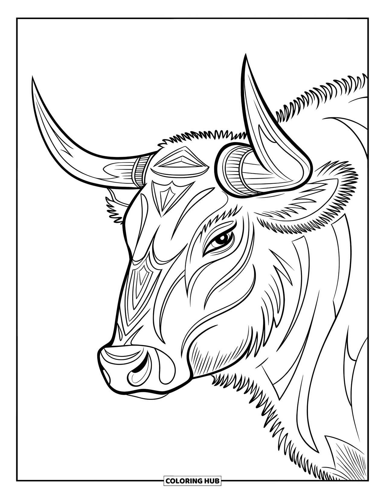Rodeo Coloring Page for Adults: Close-up bull's head with tribal accents and detailed horns