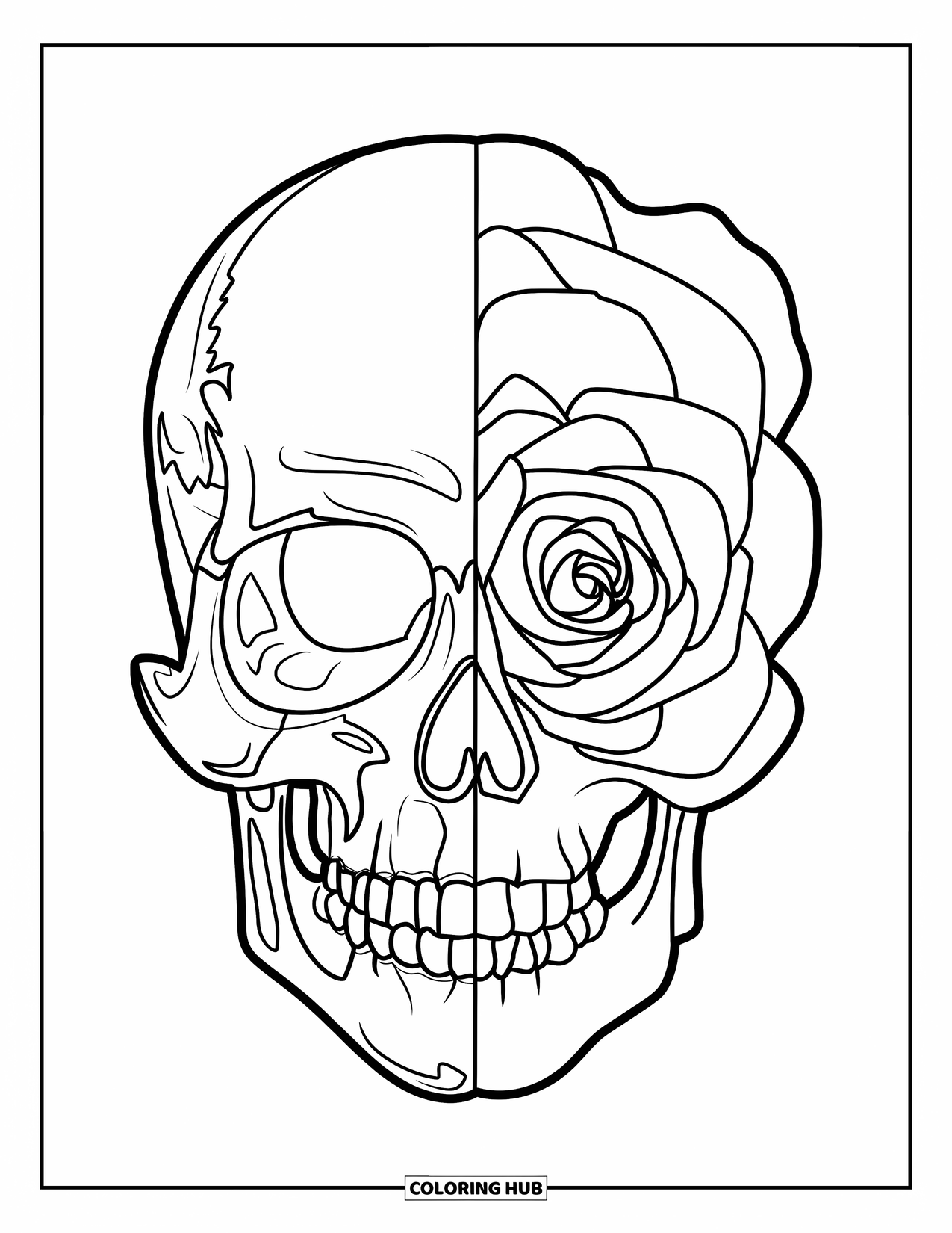 Rose Skull Coloring Page for Kids: A half-rose, half-skull drawing made just for grade schoolers
