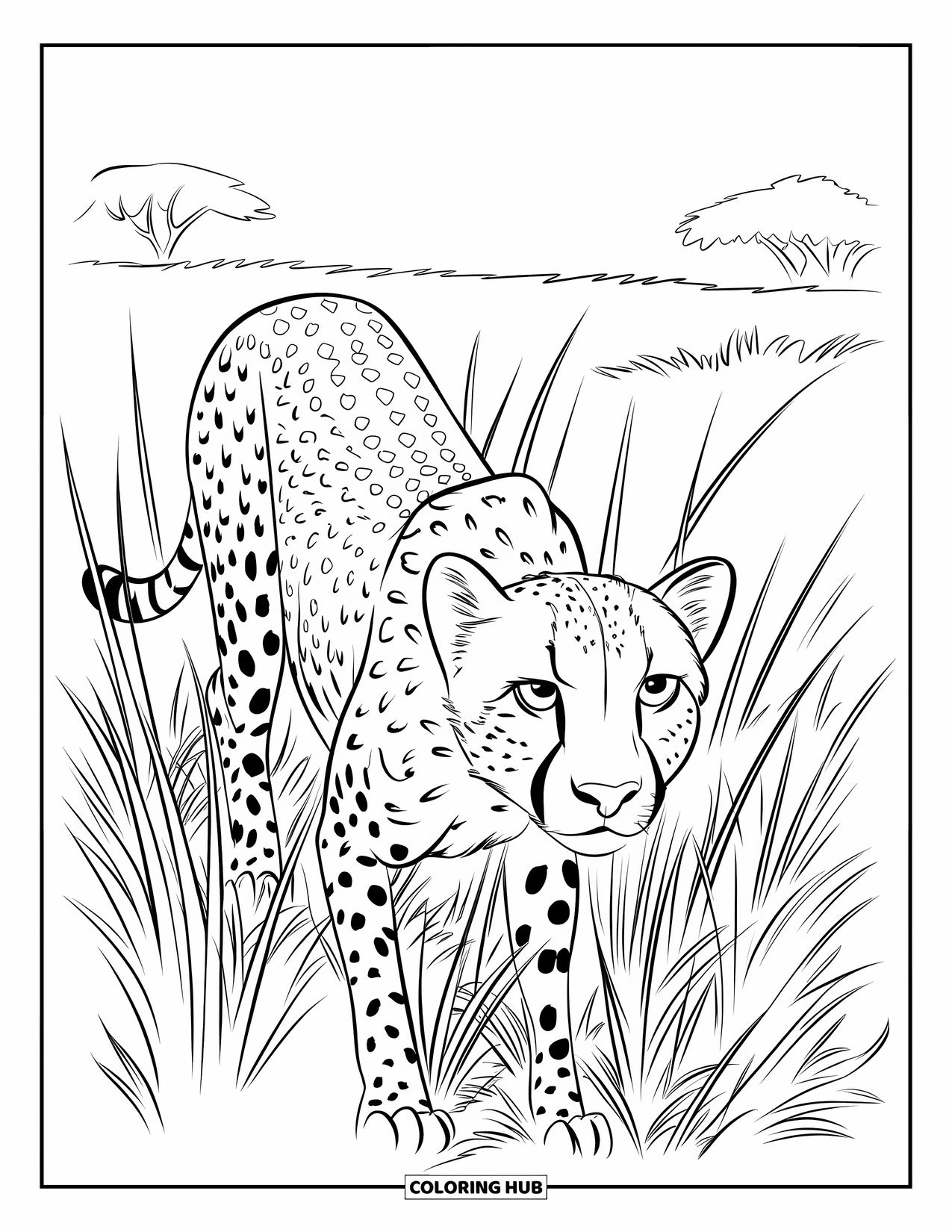 Safari Animal Coloring Page for Kids: A cheetah stalking in tall grass with trees and horizon behind