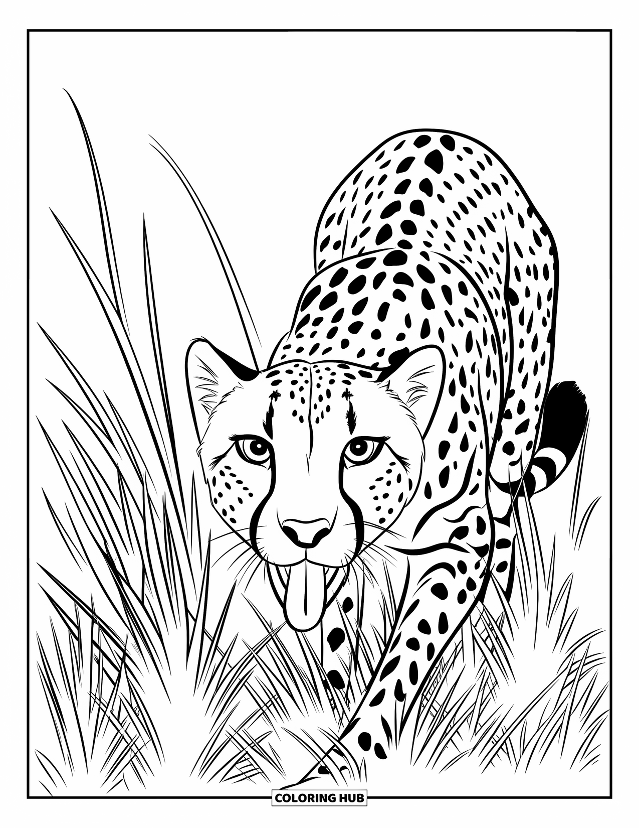 Safari Animal Coloring Page for Kids: A cheetah stalking low through tall grass with sharp, focused eyes
