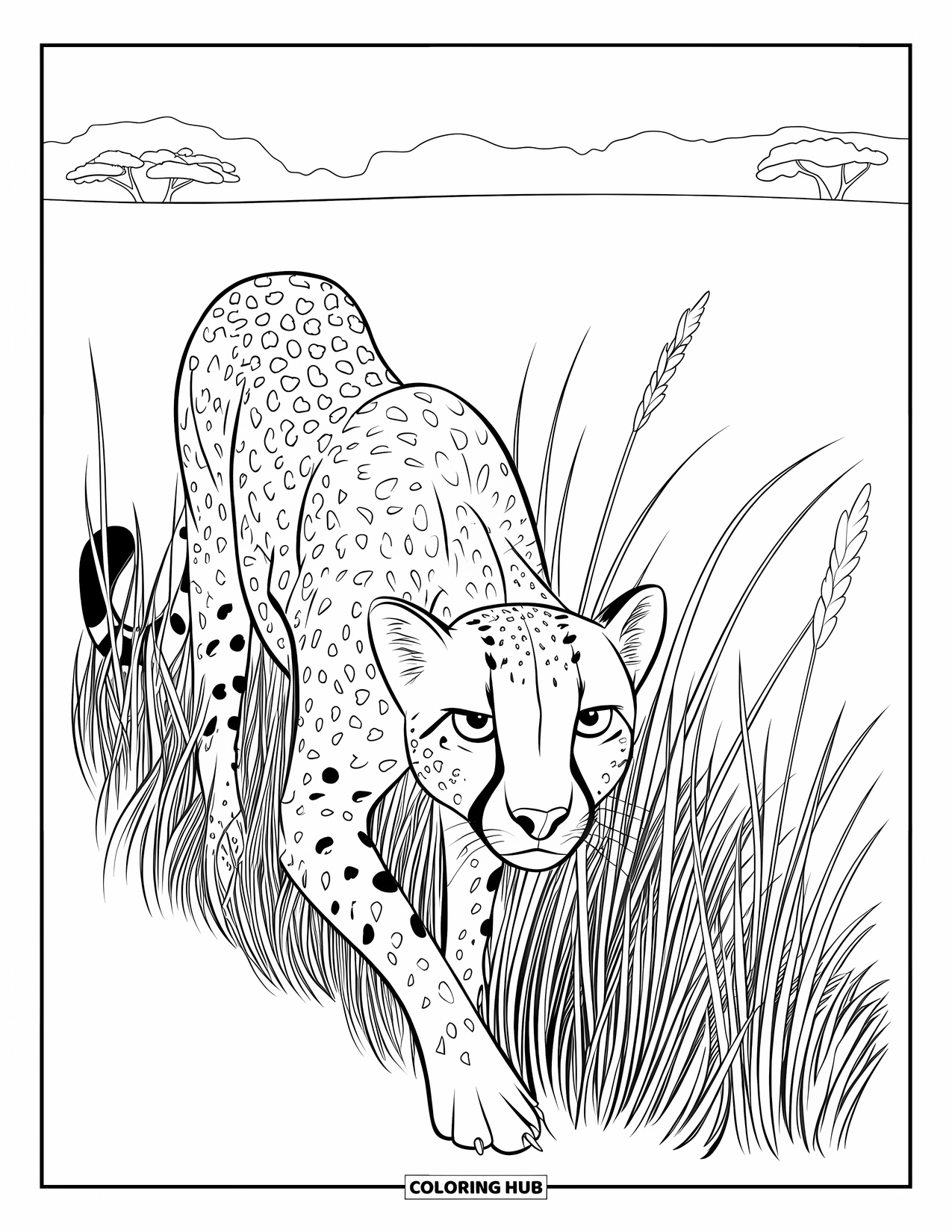 Safari Animal Coloring Page for Kids: A cheetah stalking quietly through waist-high grass in the open savannah