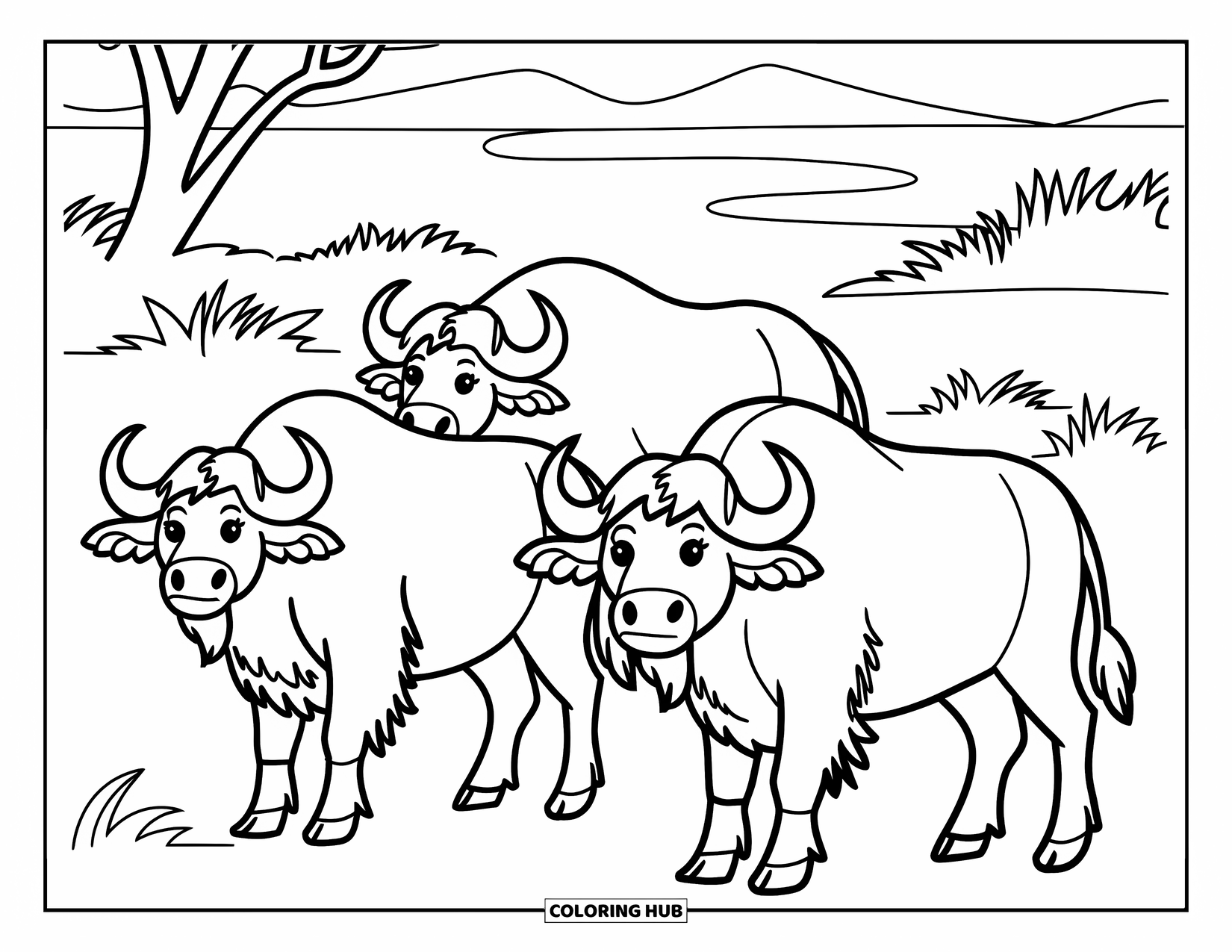 Safari Animal Coloring Page for Kids: A herd of buffalos standing in the open savannah with grass