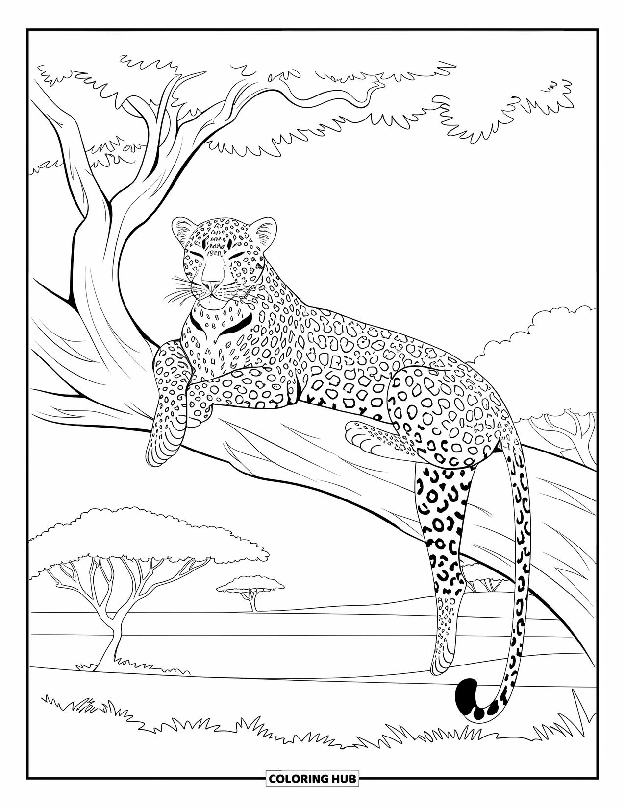 Safari Animal Coloring Page for Kids: A leopard napping on a branch in the savannah with trees nearby