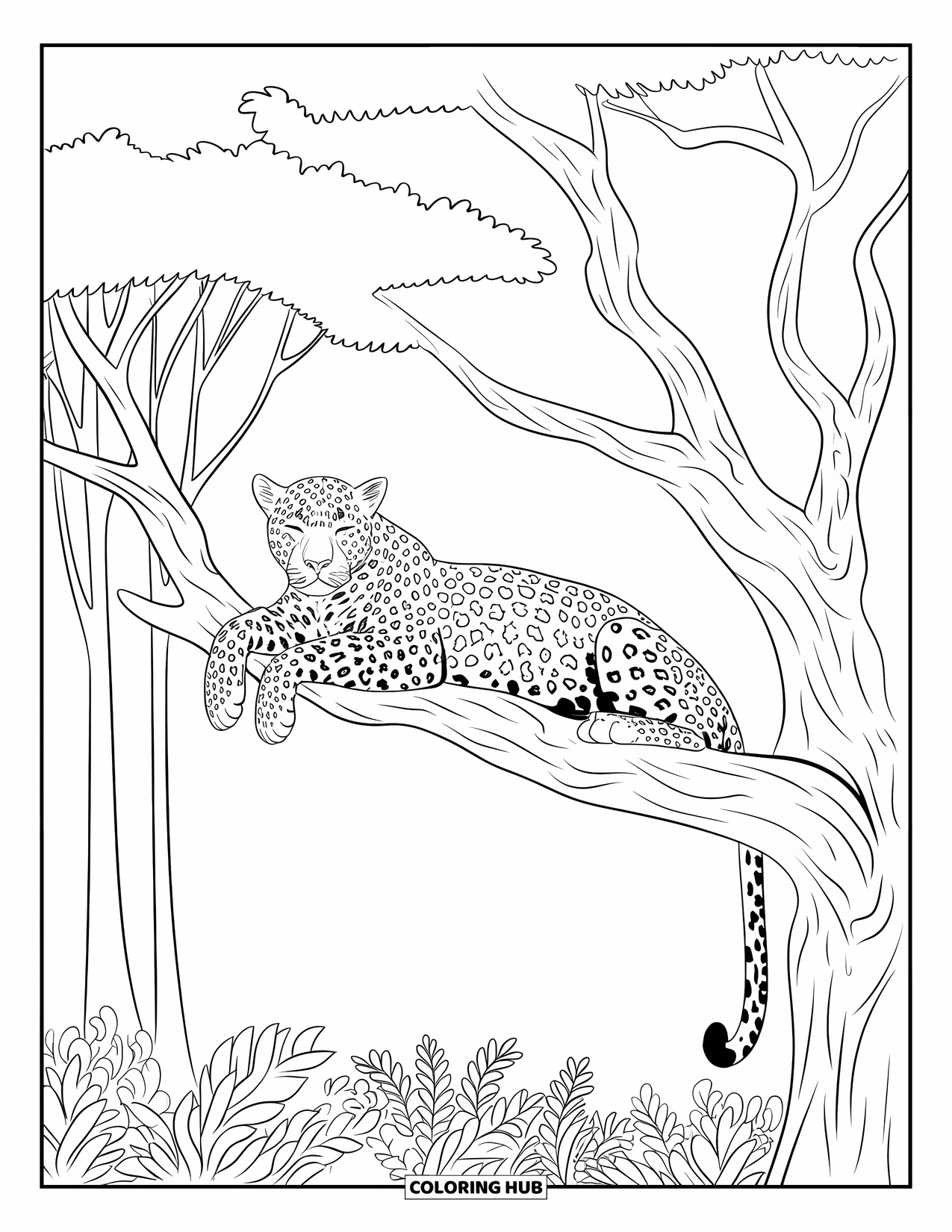 Safari Animal Coloring Page for Kids: A leopard resting on a tree branch surrounded by tall trees and leaves