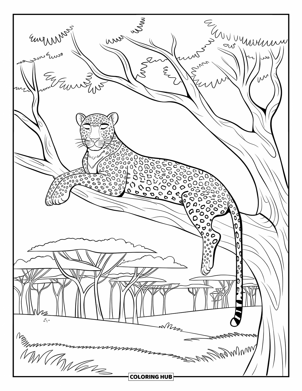 Safari Animal Coloring Page for Kids: A leopard sleeping peacefully on a branch above grassy plains