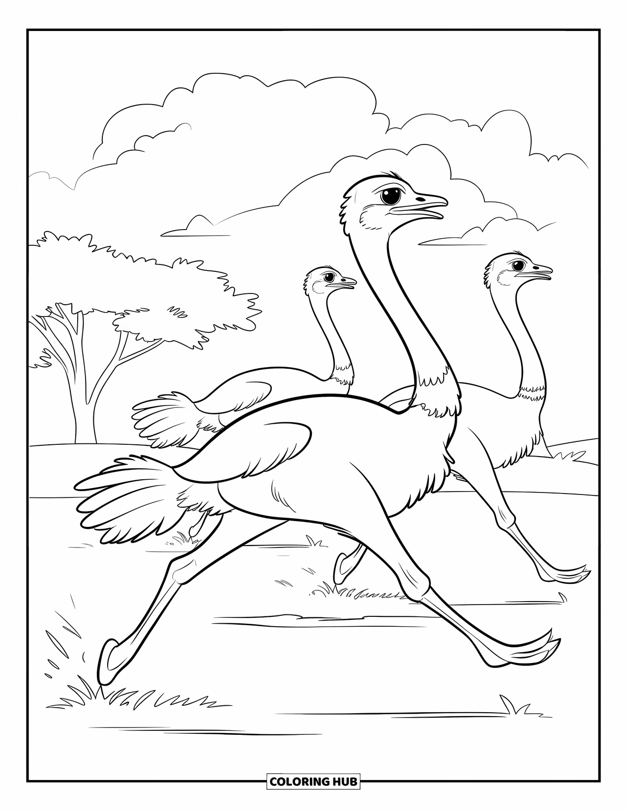 Safari Animal Coloring Page for Kids: Ostriches sprinting in a race with long necks stretched forward