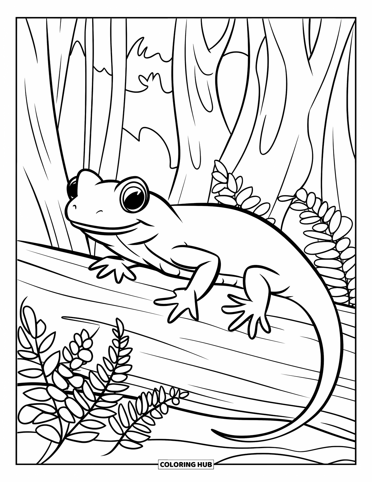 Salamander Coloring Page for Kids: Bold salamander on log with ferns in a forest