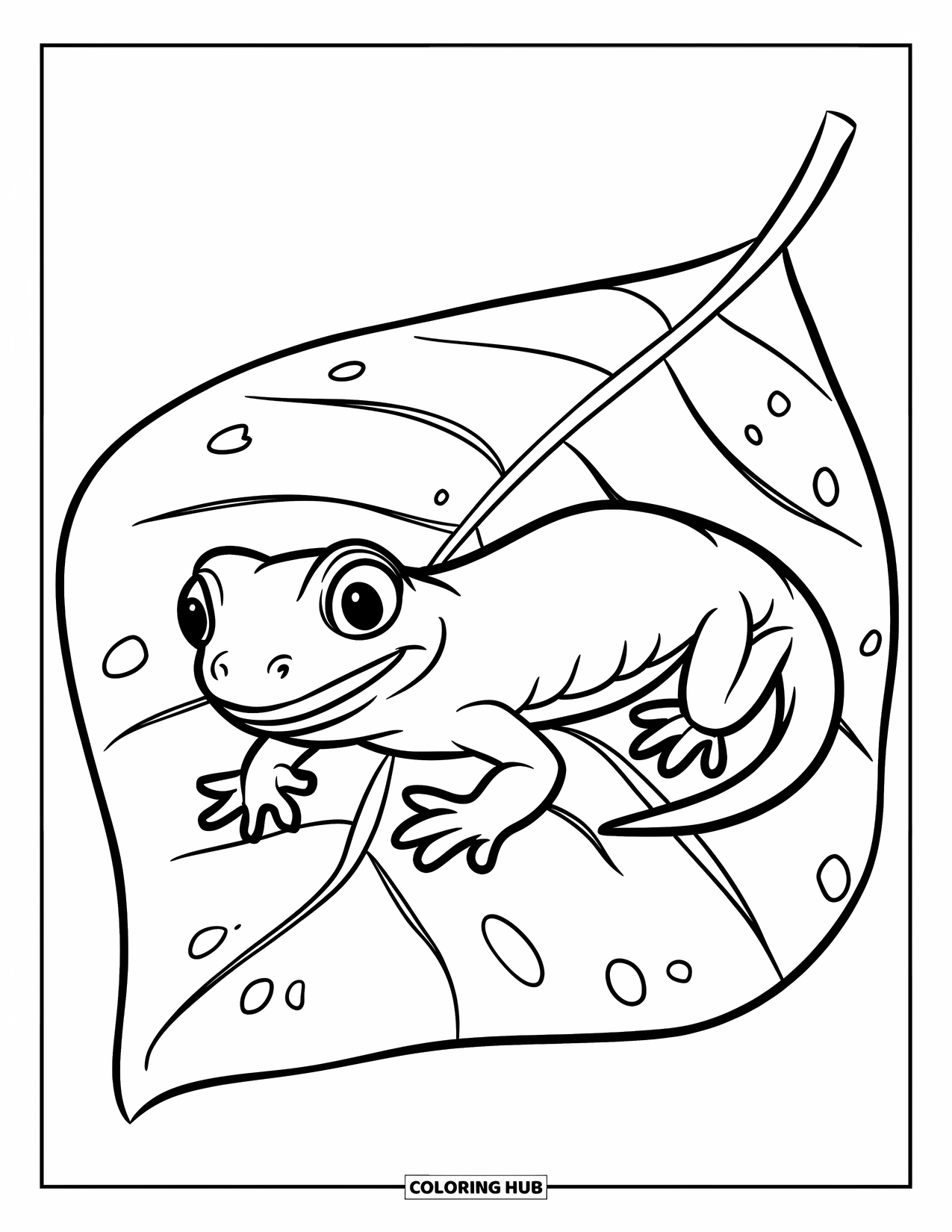 Salamander Coloring Page for Kids: Cheerful salamander on a large leaf with small holes