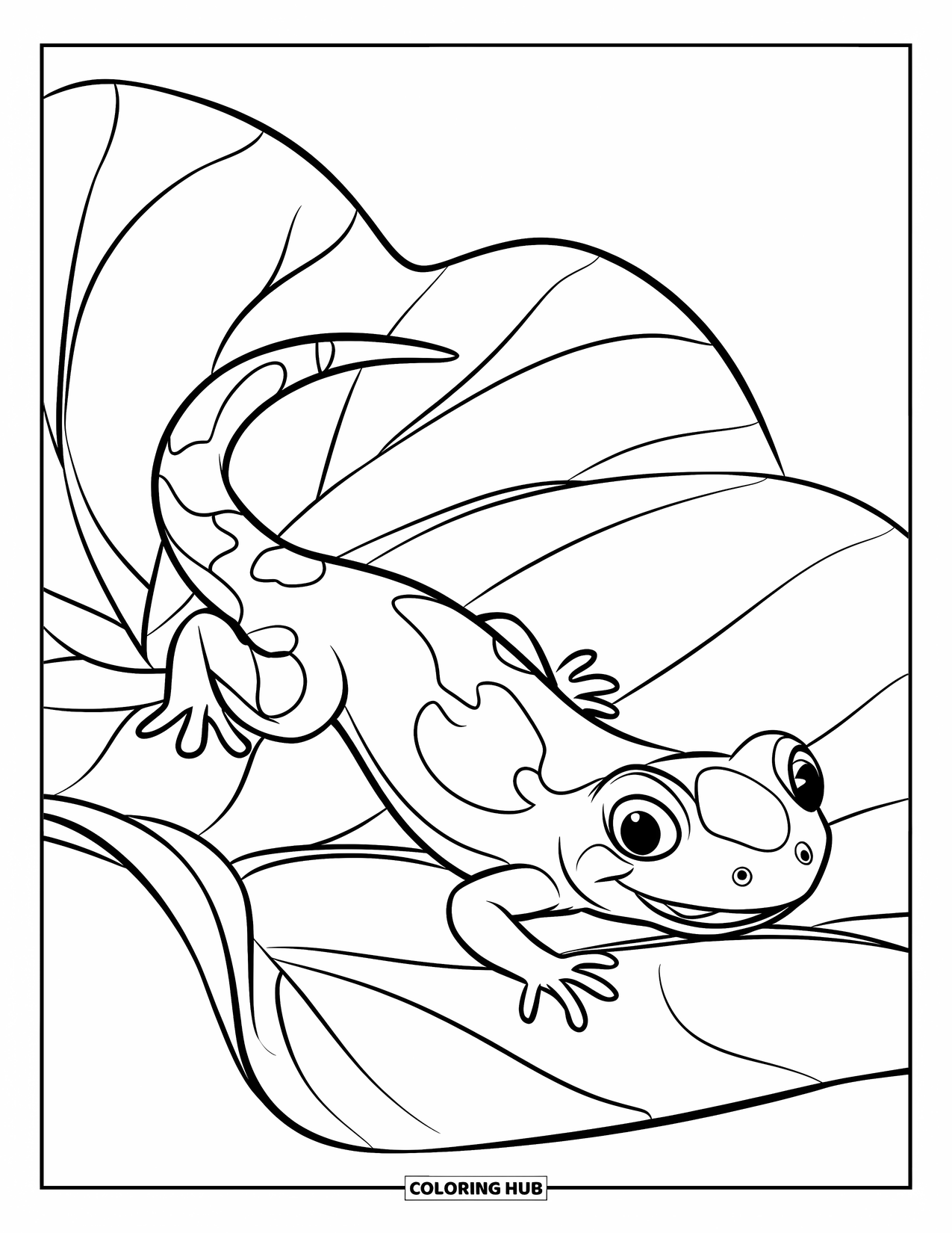 70+ Salamander Coloring Pages for Kids & Adults (Free Printable PDFs)