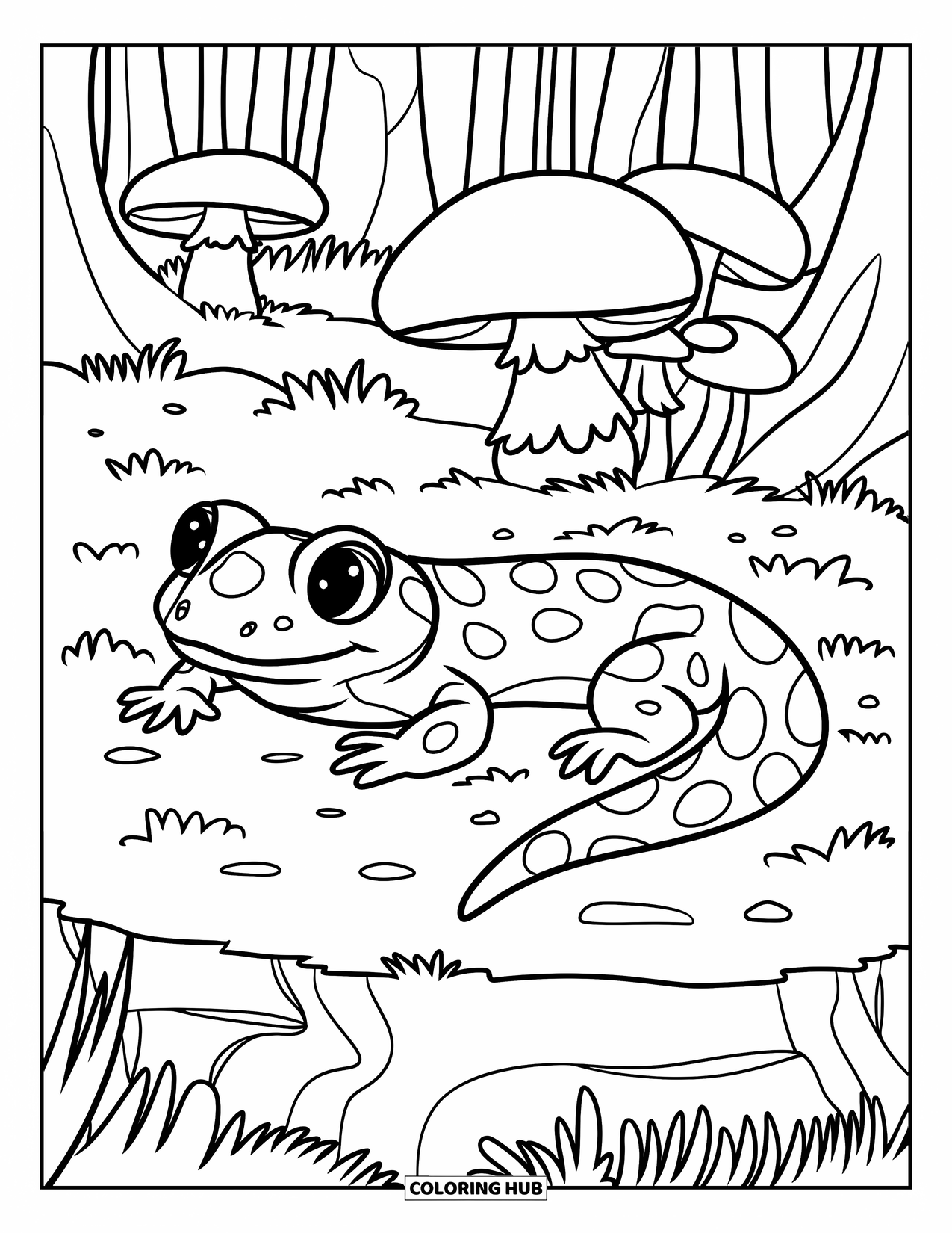 70+ Salamander Coloring Pages for Kids & Adults (Free Printable PDFs)