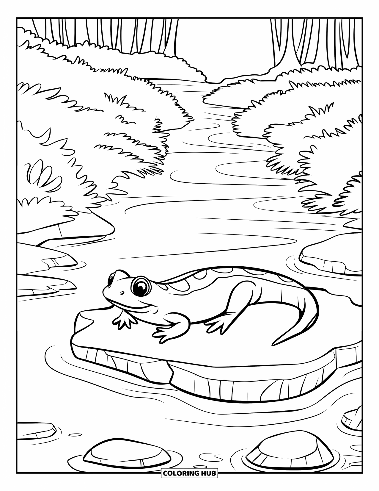 Salamander Coloring Page for Kids: Long-bodied salamander on a rock in the middle of a stream