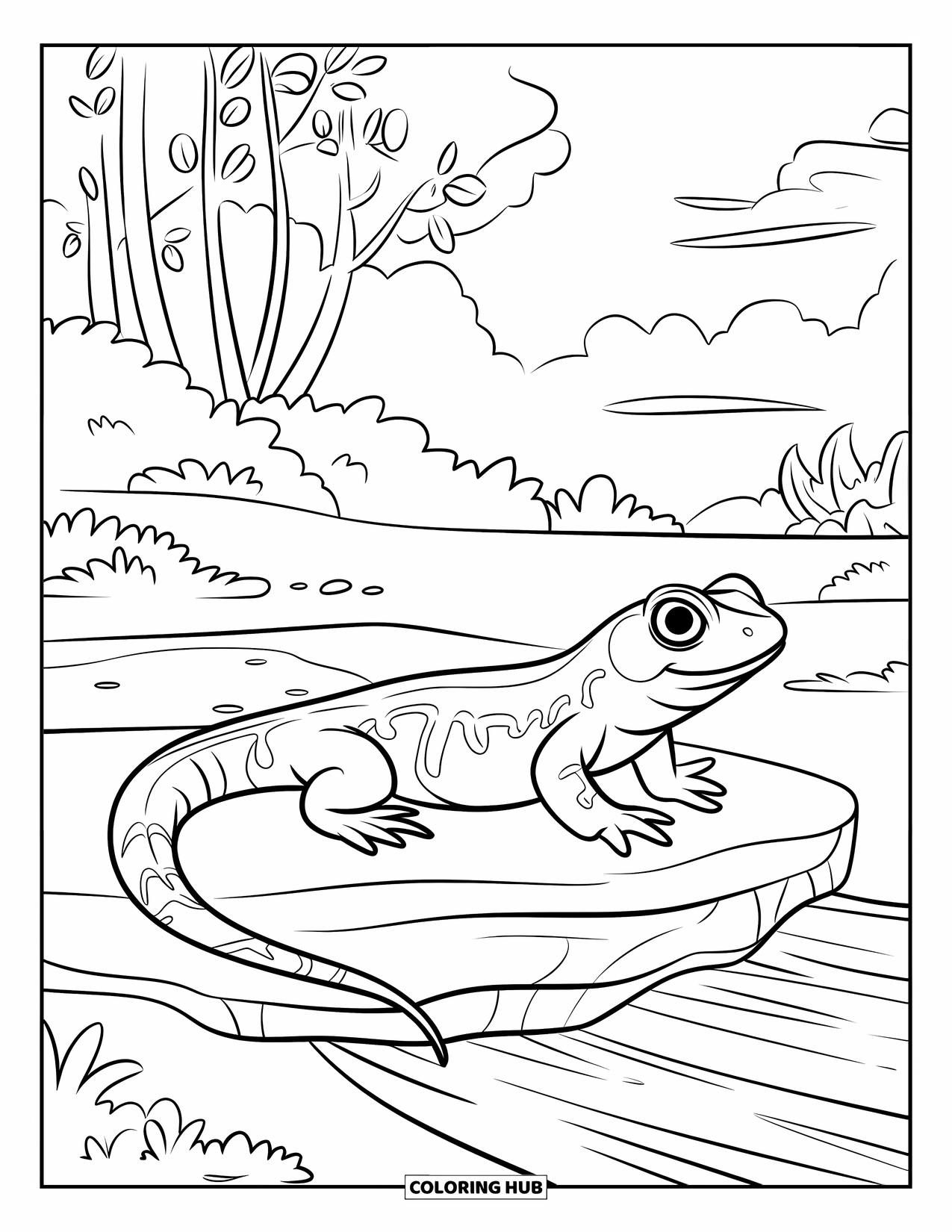 Salamander Coloring Page for Kids: Patterned salamander looking right while resting on a streambed rock
