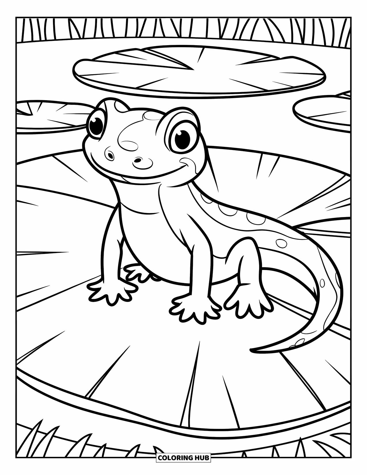 Salamander Coloring Page for Kids: Playful salamander sitting on a large lily pad