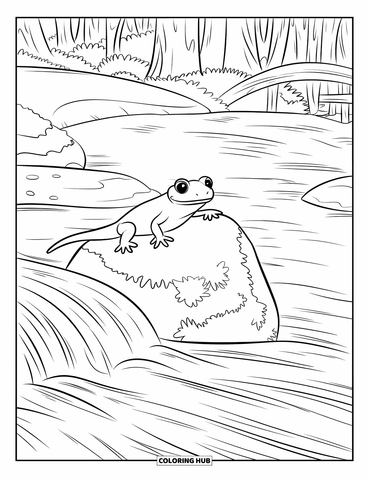Salamander Coloring Page for Kids: Salamander on mossy rock near stream and wooden bridge