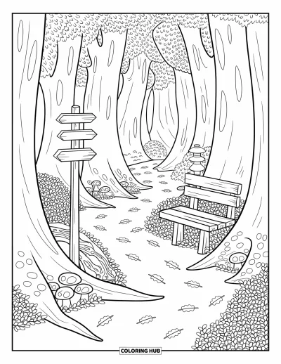 Desenho de paisagem para colorir para adultos: Uma trilha na floresta serpenteia entre árvores altas, cogumelos e folhas com um banco e placa indicativa