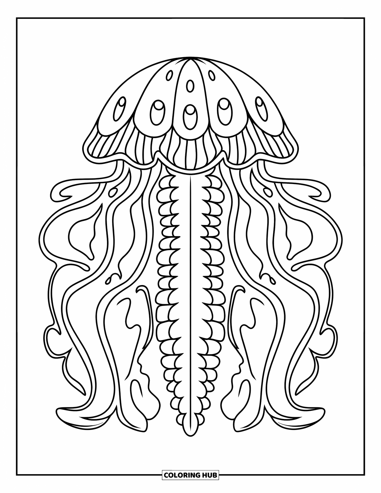 Meerestier-Ausmalbild für Erwachsene: Eine detaillierte Mandala-Qualle mit fließenden Formen und Mustern sitzt in der Mitte
