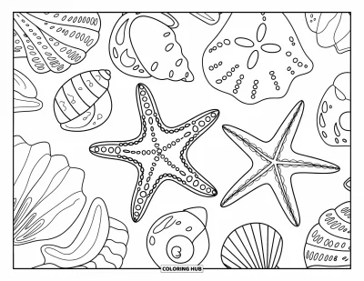 Coloriage d'animaux marins pour adultes : Une étoile de mer ornementée parmi des coquillages et des oursins plats dans une composition bien remplie