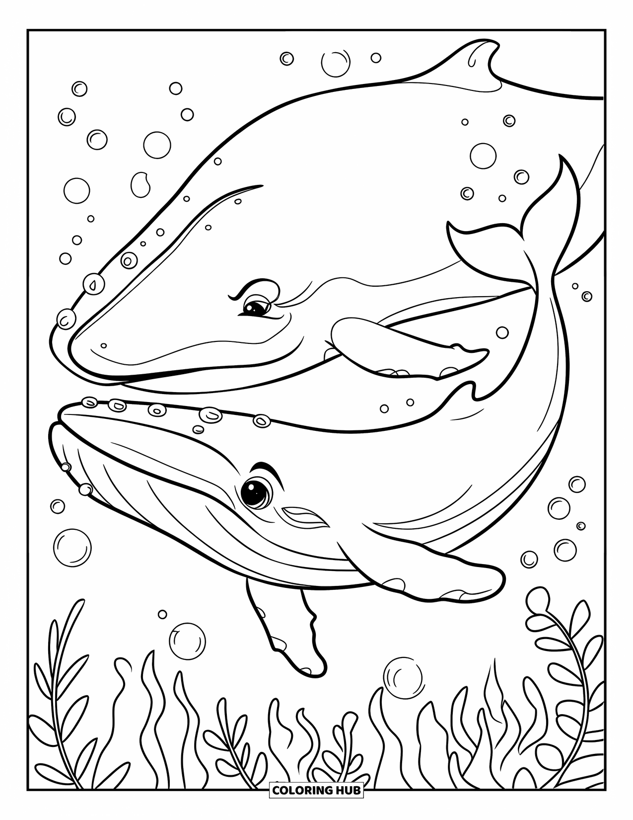 Meerestier-Ausmalbild für Kinder: Ein Baby-Wal schwimmt neben seinem Elternteil mit Algen und Blasen ringsum