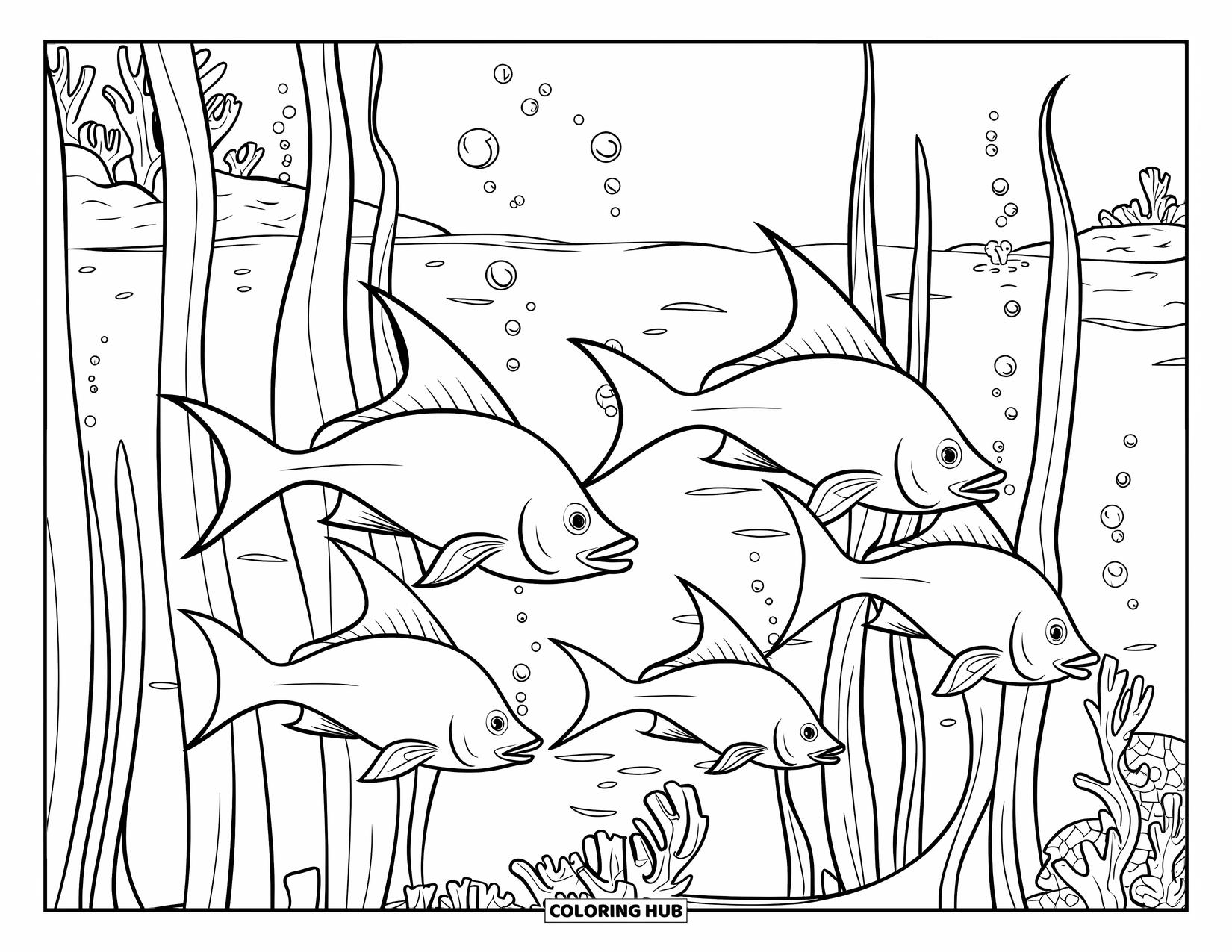 Meerestier-Ausmalbild für Kinder: Schwertfische schwimmen durch viele Pflanzen mit hinter ihnen aufsteigenden Blasen