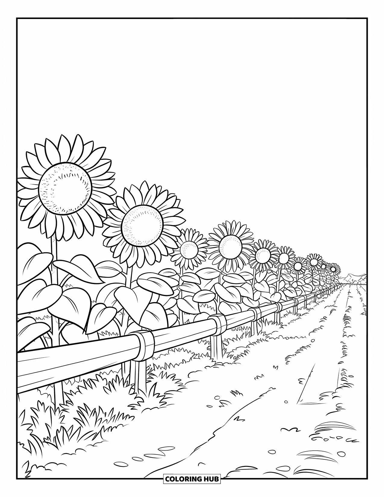 September Coloring Page for Kids: A field of blooming sunflowers with a winding path and fence