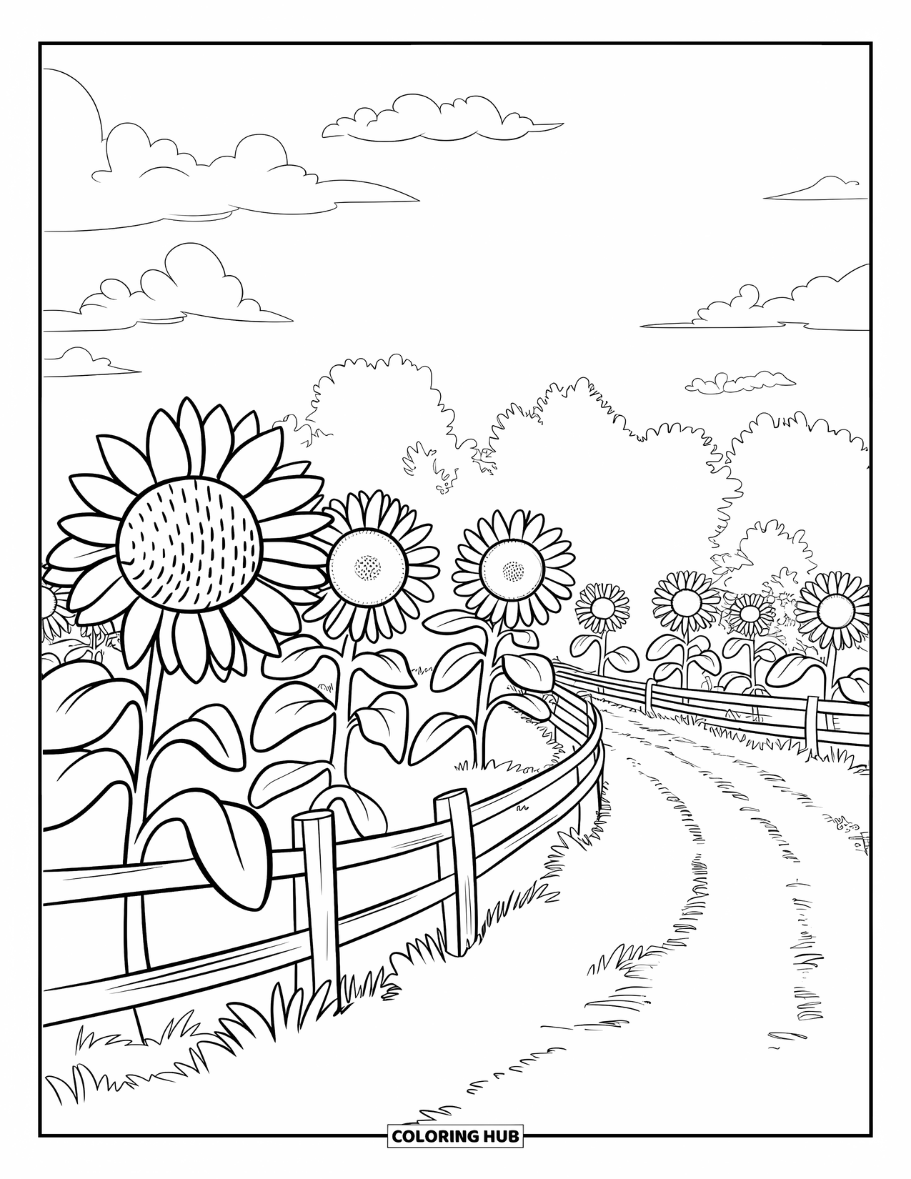 September Coloring Page for Kids: Sunflower path with a wooden fence and open background