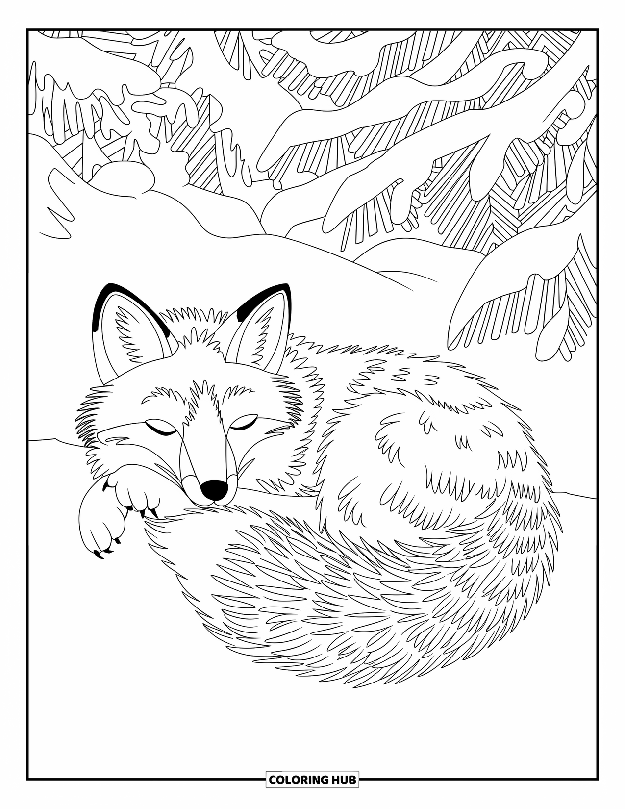 Snow Coloring Page for Kids: A fox sleeps in the snow near evergreen trees