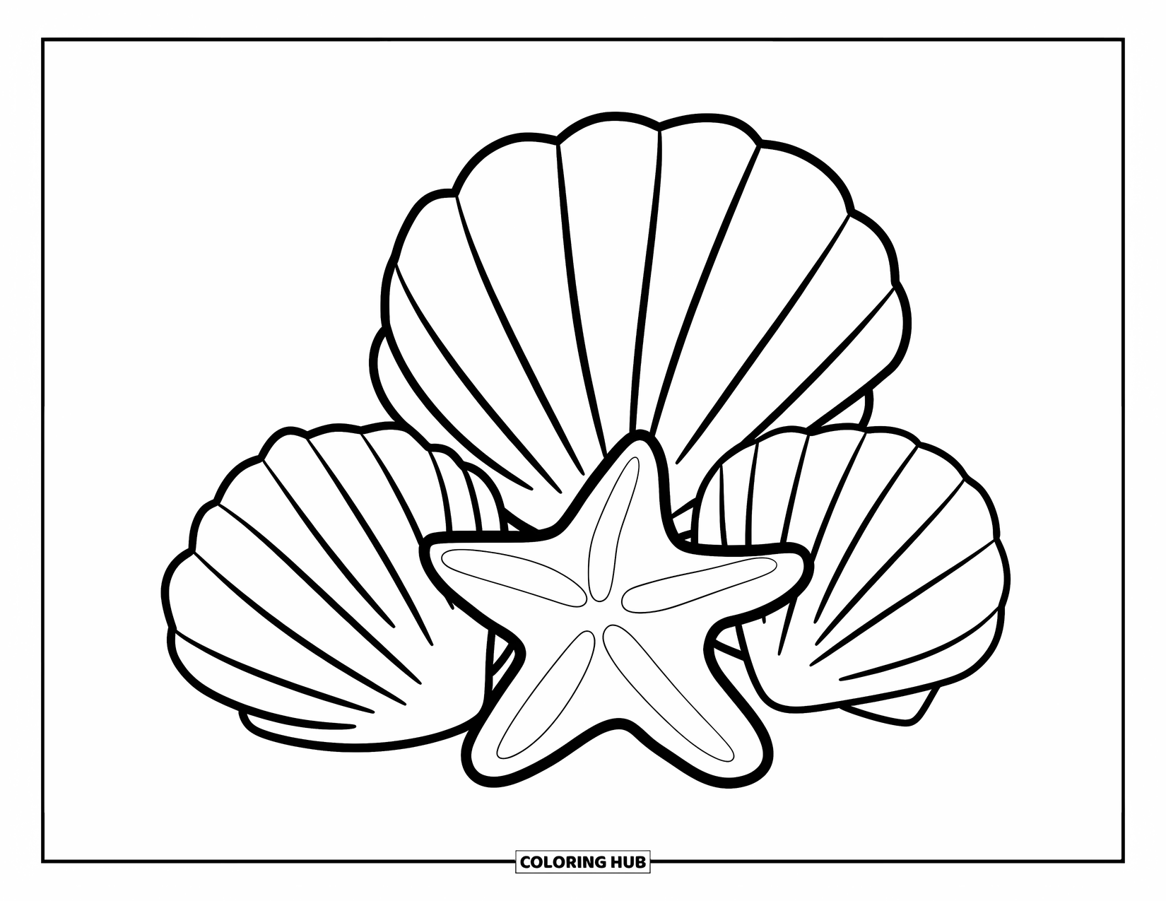 Starfish Coloring Page for Kids: A smiling starfish sits beside three large seashells with an easy, playful layout