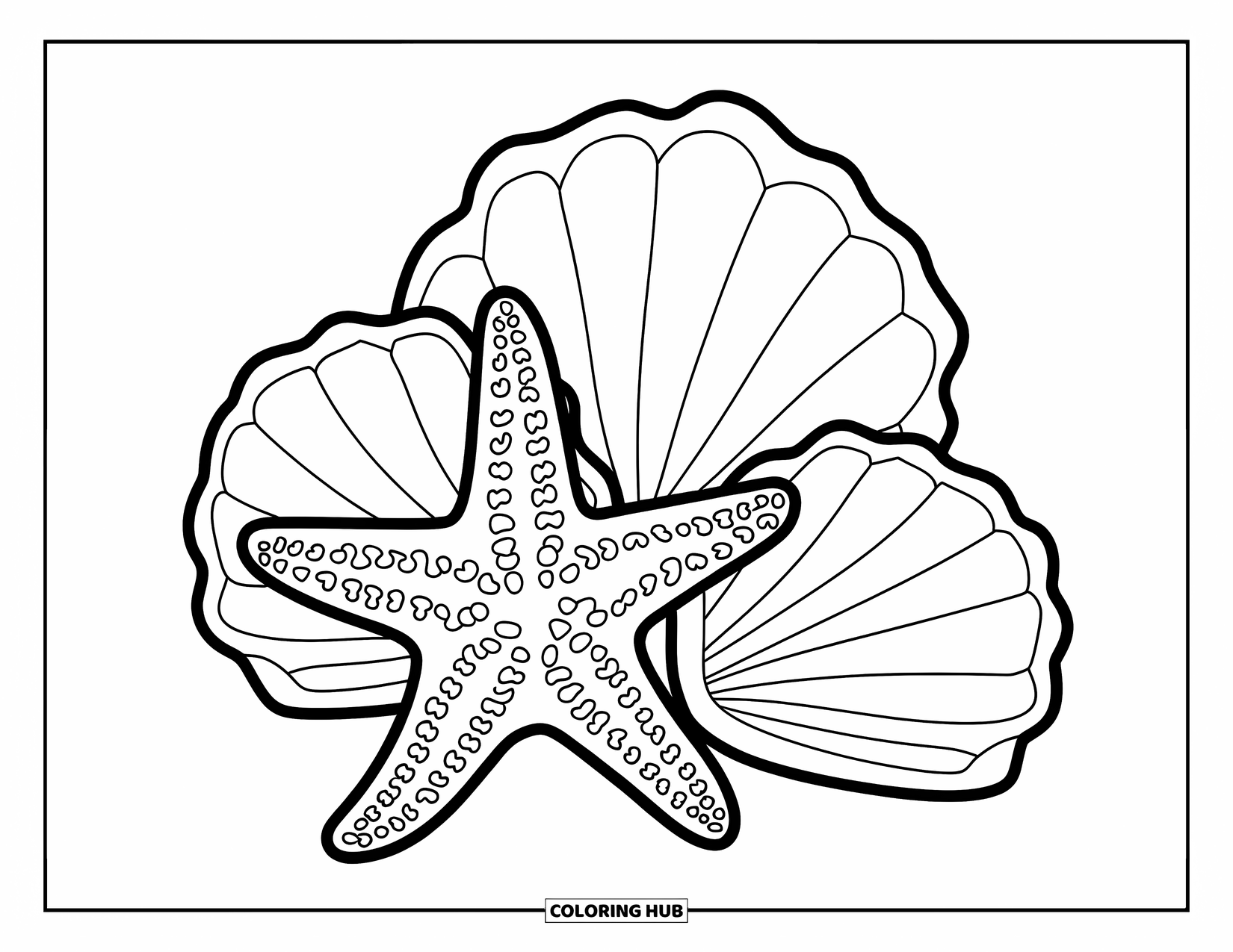 Starfish Coloring Page for Kids: A starfish relaxes beside three large seashells