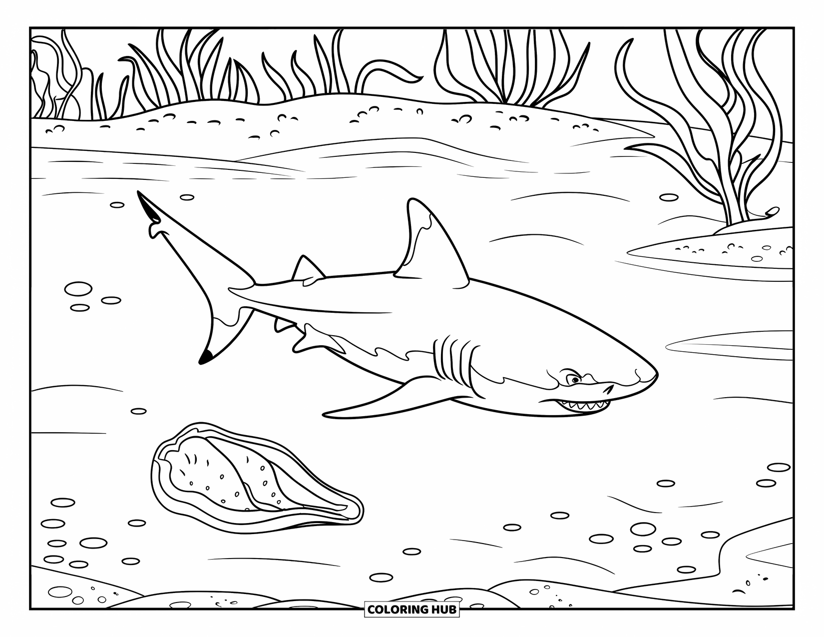 Tiger Shark Coloring Page for Kids: Tiger shark above seabed with a single large shell