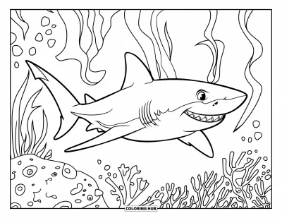 Sea Animals