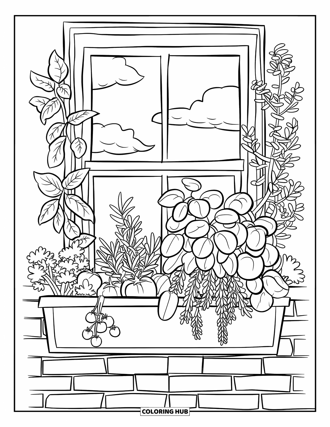 Vegetable Coloring Page for Kids: A cozy window box garden with basil, rosemary, and tomatoes on a brick wall