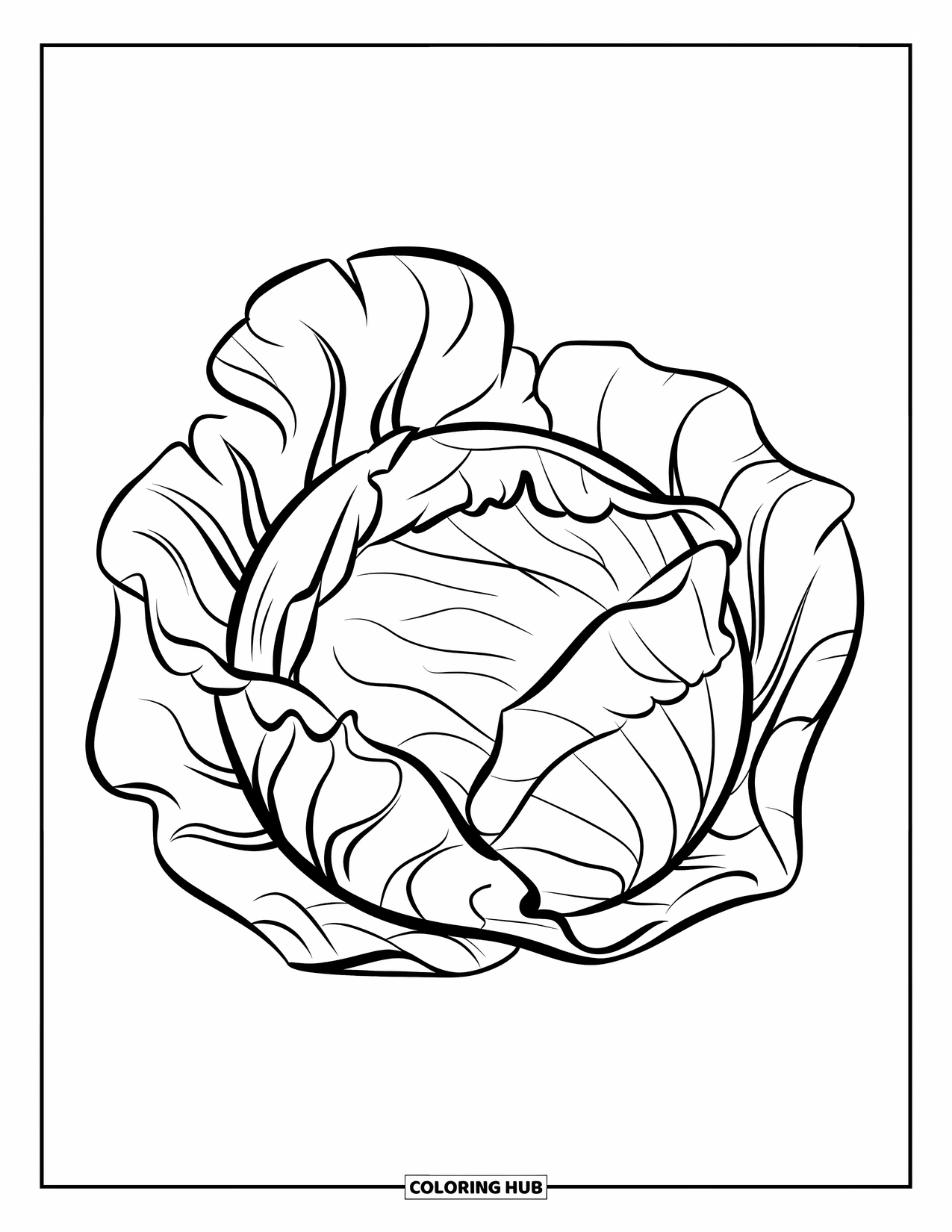 Vegetable Coloring Page for Kids: A round cabbage with swirly leaves sits neatly at the center of the page