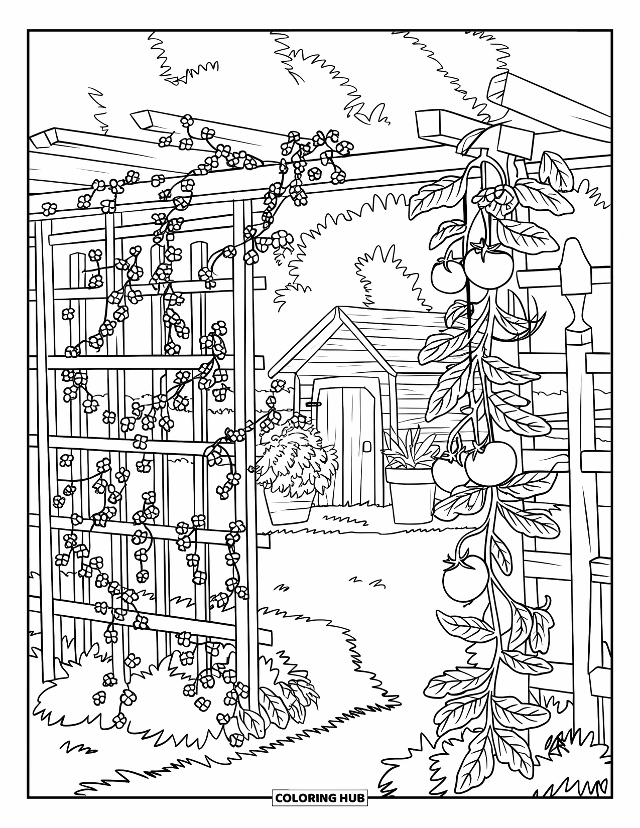Vegetable Coloring Page for Kids: Climbing vines and tomatoes fill a garden scene with a shed and flower pots