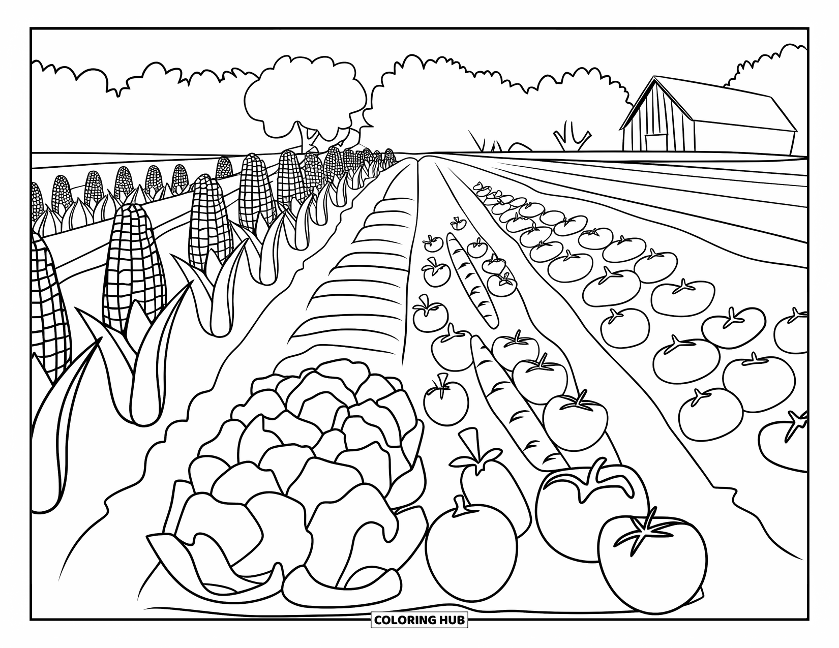 Vegetable Coloring Page for Kids: Corn, lettuce, and tomatoes line the field beside a cozy barn and a few trees