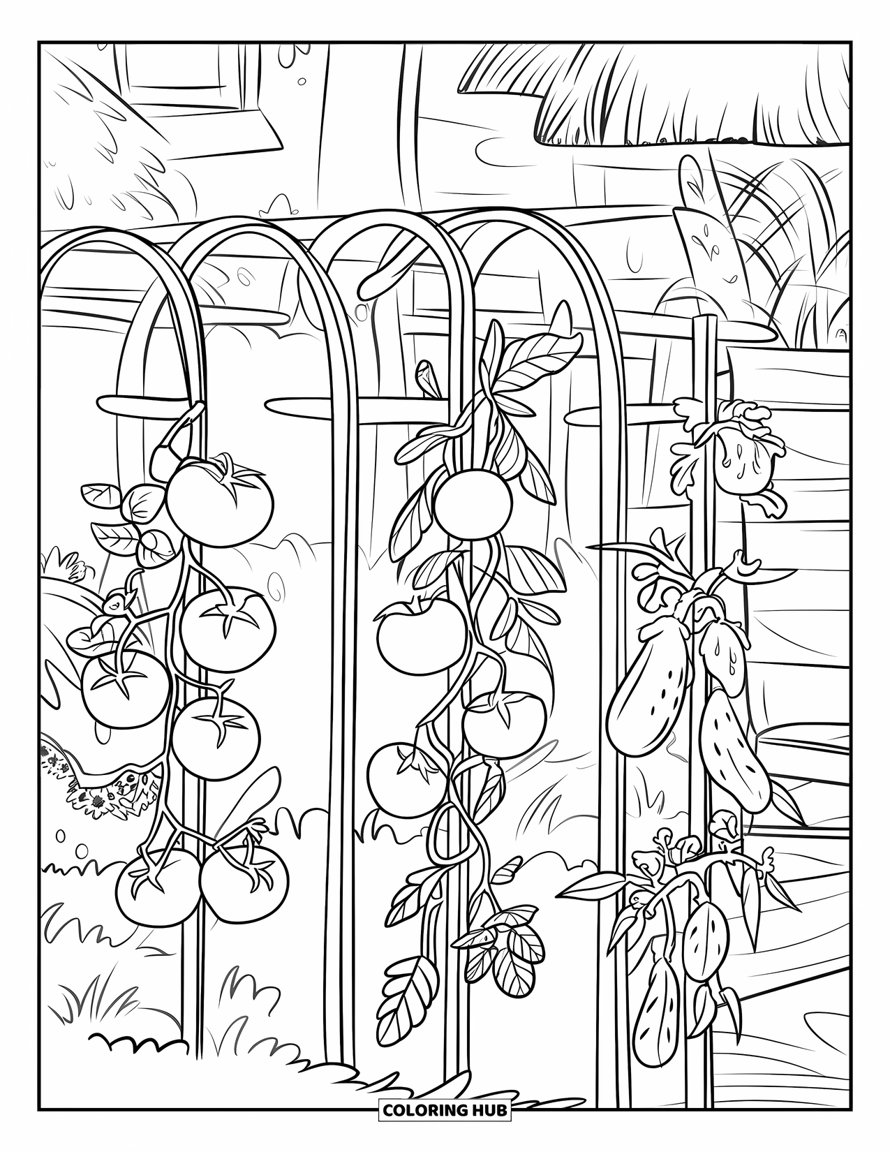 Vegetable Coloring Page for Kids: Green beans and tomatoes grow near a bench beside a rustic thatched-roof cottage