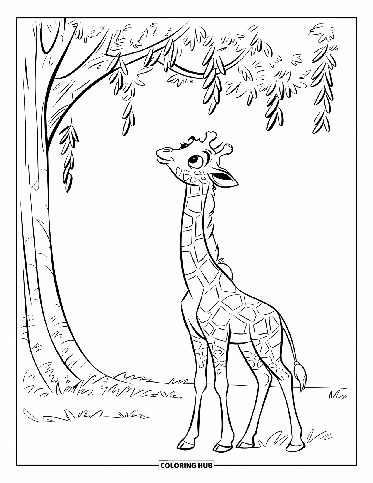 Wild Animal Coloring Page for Kids: A young giraffe looks up at a leafy tall tree standing on a grassy field