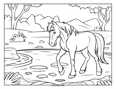 Kleurplaat van een wild paard voor kinderen: Een wild paard pauzeeert bij een drinkplaats met stenen en planten eromheen