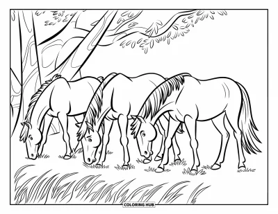 Kleurplaat van een wild paard voor kinderen: Drie paarden grazen bij een boom in een open, grasrijke ruimte