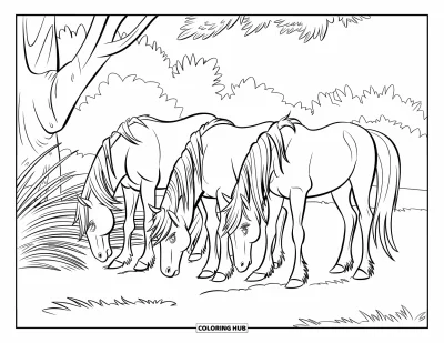 Kleurplaat van een wild paard voor kinderen: Drie paarden met lange manen grazen bij enkele bomen in een veld