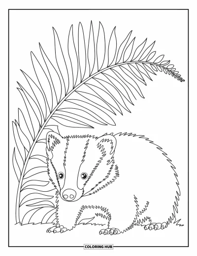 Woodland Animal Coloring Page for Kids: A badger hides under a fern, surrounded by simple lines and soft curves